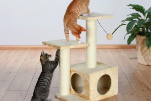 rascadores para gatos