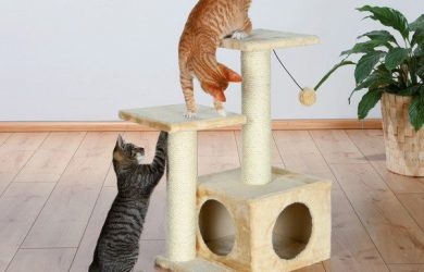 rascadores para gatos